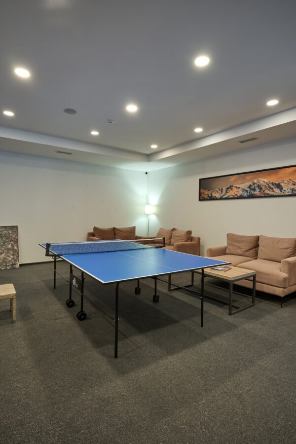 Настільний теніс